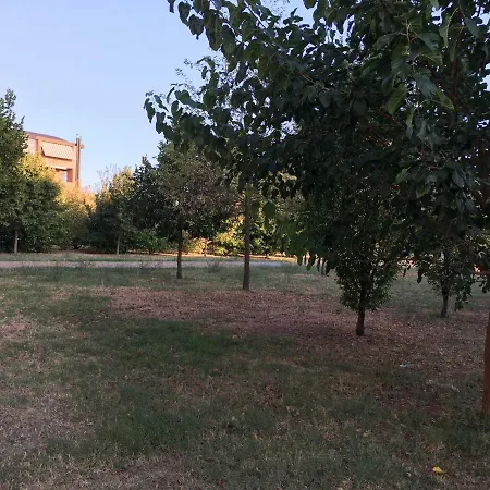 Dossetti 3 Διαμέρισμα Μπολόνια